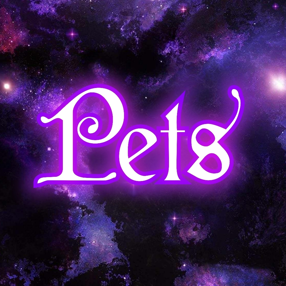 â¨ď¸đâ¨ď¸ Pets - Picture 1 of 1